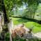 Spoleto Splash Casa Vicolo, a fabulous country cottage sleeps 45wifiaircon