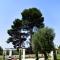 IL TRULLO BIANCO - Country House & SPA