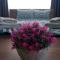 GOPO Guesthouse Elshani