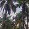 Casa Paraiso Tropical