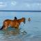 Dunn Dreamin Barbados