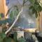 Miami Bungalow Oasis near Everglades & The Keys