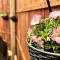 Marengo Beach Studio 4- Pet Friendly