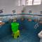 "SMS" HOME STAy