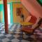 The Colourful Mansion Hotel