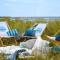 Surfers Bay