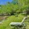 Buena Vista Creekside Home with Private Hot Tub!