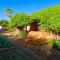 Gondwana Damara Mopane Lodge