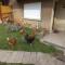 Jardin Fleuri