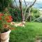 Country House in Chianti Da Vieri