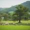 Caer Rhun Hall Hotel
