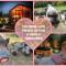 Bed & Wellness Klein Knorrestein with private hottub and sauna and tandembike rental included in price