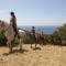 Village Cap Esterel, P2 face golf et mer
