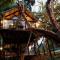 Wilderness Treehouse - 萨科特山