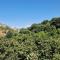 A Pasturella, Jacuzzi Spa