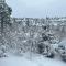 Tamarron Lodge Studio 103 - Wildflower Ridge - Durango CO