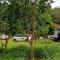 Verdant Vagamon Farm House