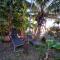 LA TERRASSE DES TORTUES