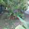 LA TERRASSE DES TORTUES