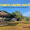 Common Camping KhaoYai - Mu Si