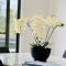 Austral Brand New Modern 4 Br Home
