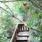 Live in the woods