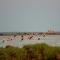 Lido degli Estensi Flat a due passi dalla spiaggia - 里杜德里伊斯坦西