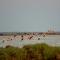 Lido degli Estensi Flat a due passi dalla spiaggia