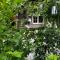 Tini House