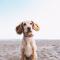 Staybridge Suites Brighton by IHG