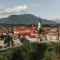 Grajski Dvor