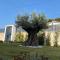 Villa Palladino Rooms