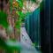 Les Cols Pavellons