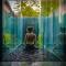 Les Cols Pavellons