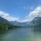 Mountain view in Triglav National park - 博希尼