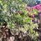 VILLA JASMIN : EXCEPTIONNELLE !!