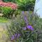 VILLA JASMIN : EXCEPTIONNELLE !!