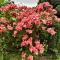 VILLA JASMIN : EXCEPTIONNELLE !!