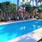 Tulipanes Cancun