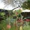 Apartman Wisteria