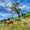 Location Villa pleine Nature Domaine des Radiers