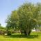 Grande maison avec jardin, 6 adultes 2 enfants
