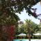 B&B Villa delle Palme