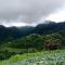 Mount Mahabharat Homestay