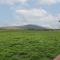 Lapwing Lodge
