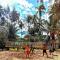 Soul Breeze Beach Resort