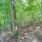 Charming Morganton Cabin with Game Room!