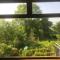 ziggys room with a view