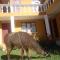 Hostal del Sol Isla del Sol