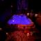 Palmonte Suites Hotel & SPA